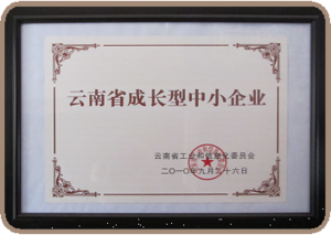 2010年荣获 云南省成长型中小企业称号
